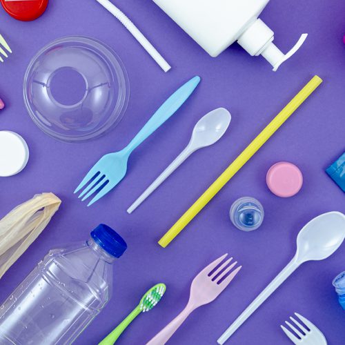 Dal 2021 sono vietati piatti e posate di plastica